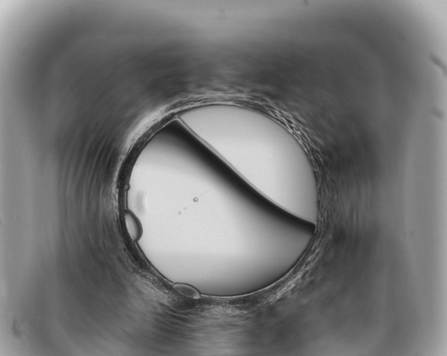 X0000091540246200708171015