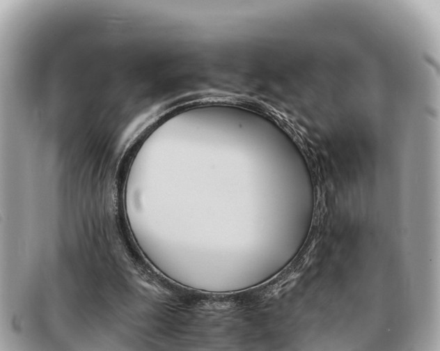 X0000091540247200708171015