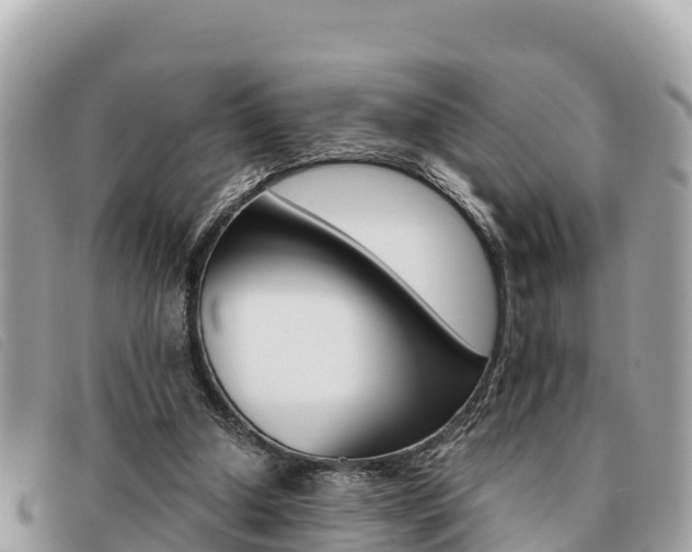 X0000091540250200708171015
