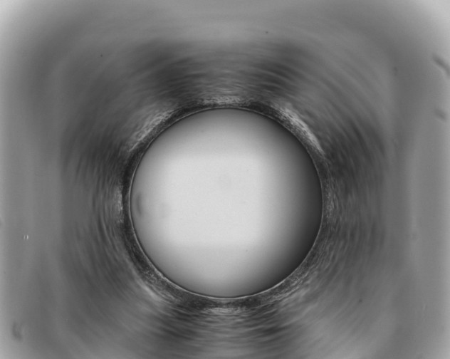 X0000091540251200708171015