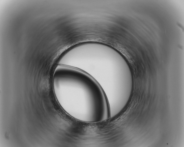 X0000091540252200708171015