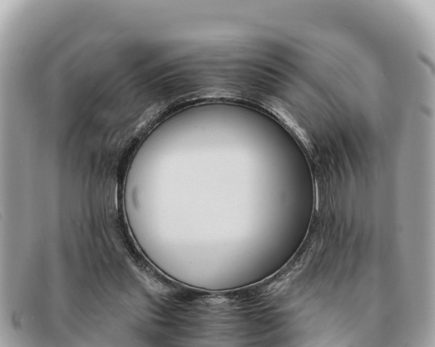 X0000091540253200708171015