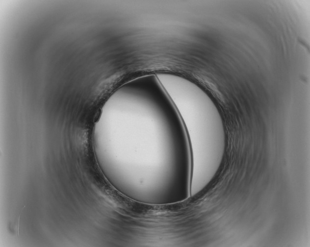 X0000091540260200708171015