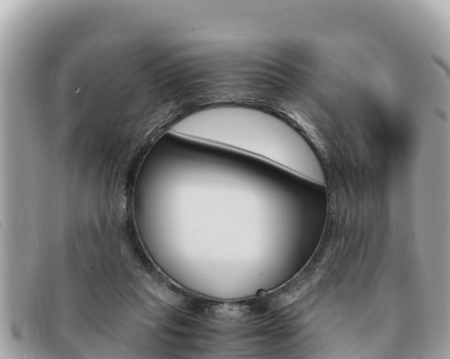 X0000091540261200708171015