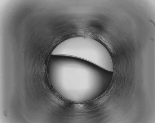X0000091540265200708171015