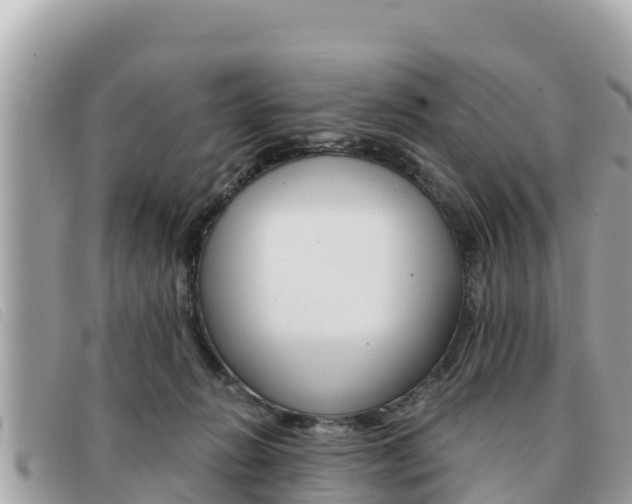 X0000091540270200708171016