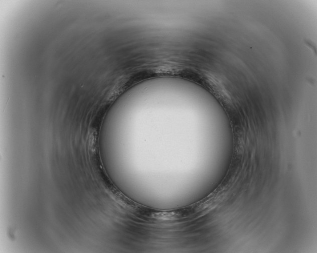 X0000091540273200708171016