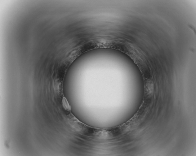 X0000091540276200708171016