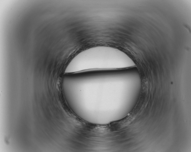 X0000091540280200708171016