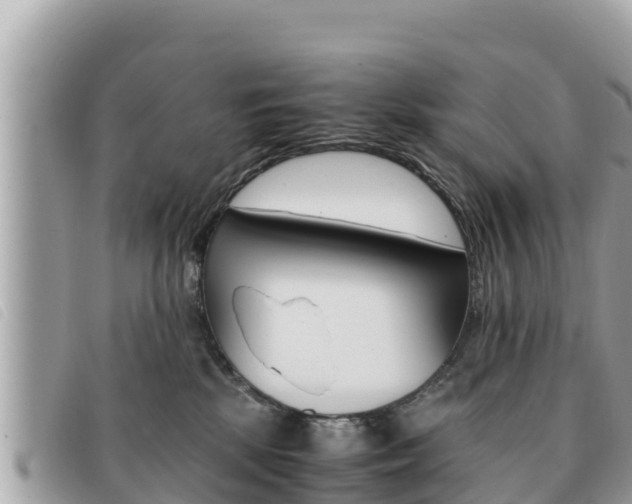 X0000091540281200708171016