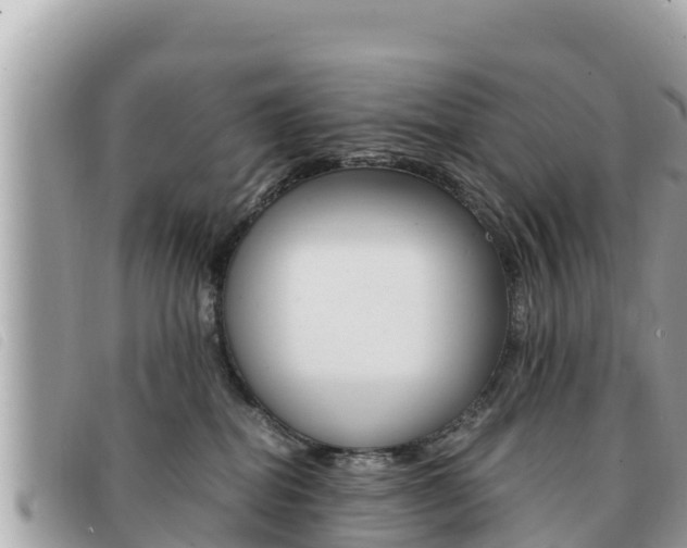 X0000091540282200708171016