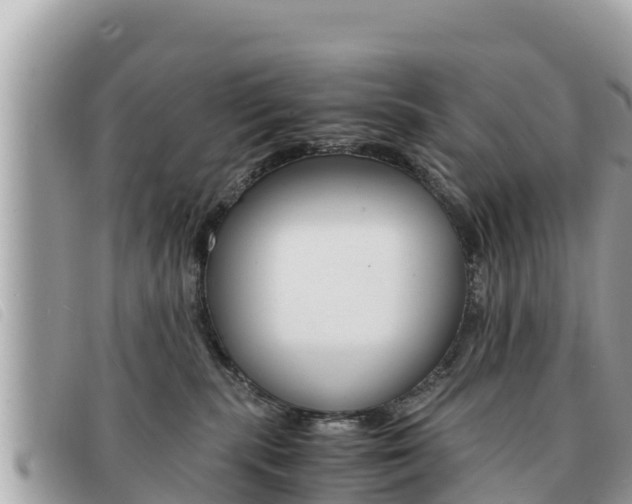X0000091540283200708171016