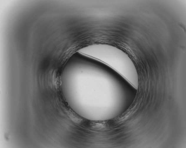 X0000091540285200708171016