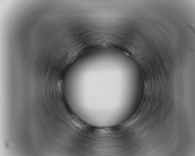 X0000091540286200708171016
