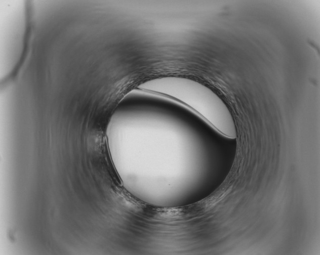 X0000091540288200708171016