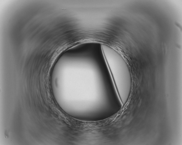 X0000091540289200708171015