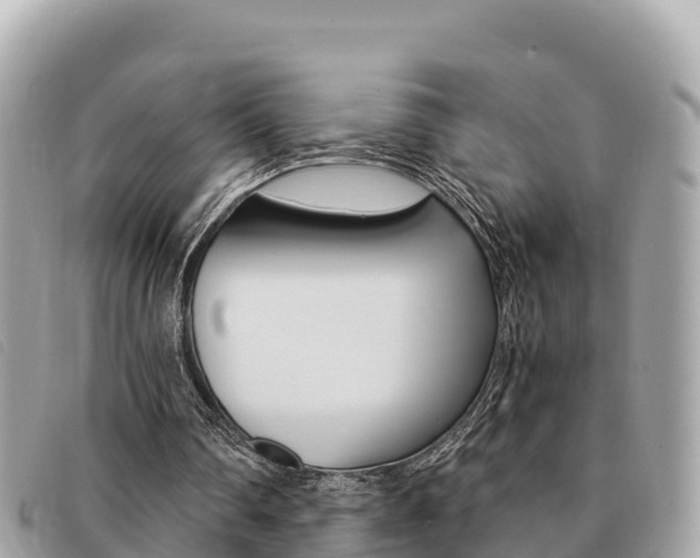 X0000091540290200708171015