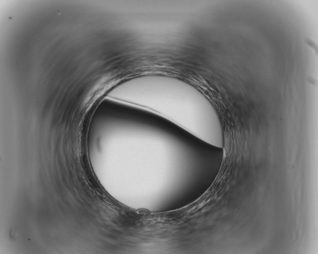 X0000091540291200708171015