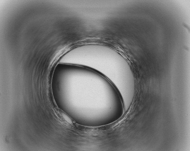 X0000091540293200708171015