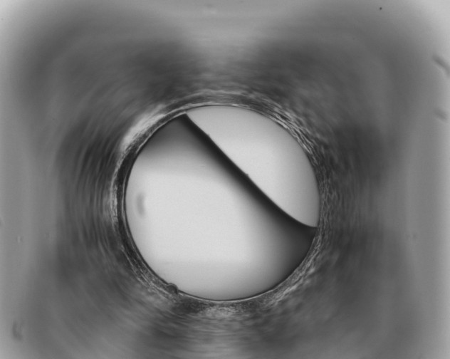 X0000091540294200708171015
