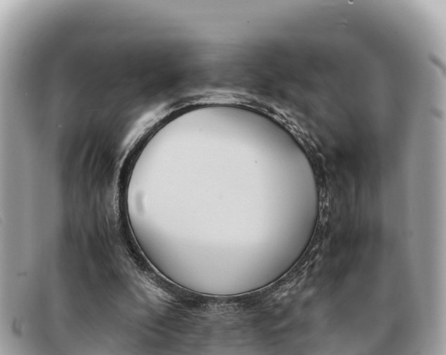 X0000091540296200708171015