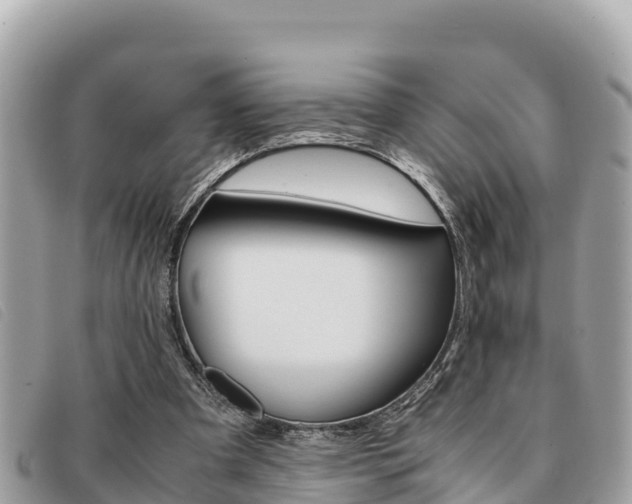 X0000091540297200708171015