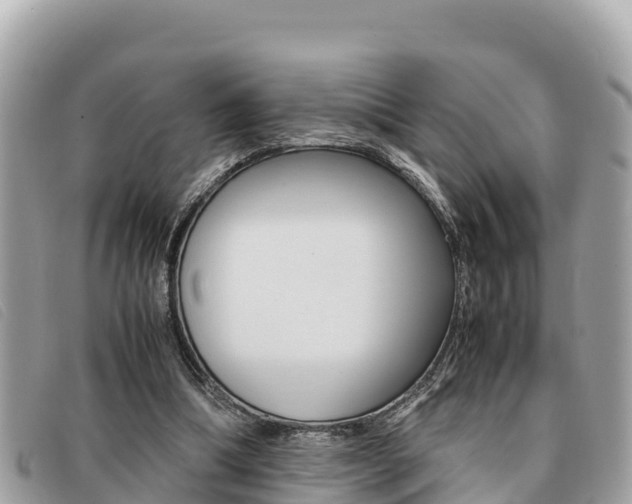 X0000091540298200708171015