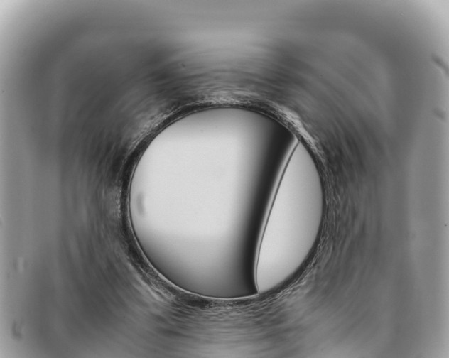 X0000091540299200708171015