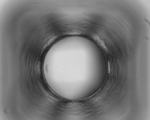 X0000091540300200708171015