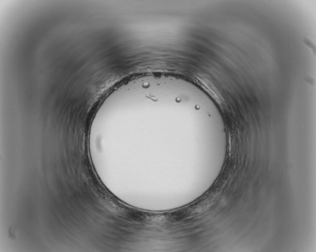 X0000091540301200708171015