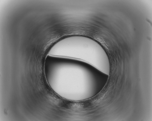 X0000091540303200708171015