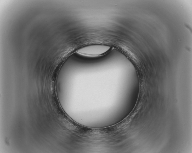 X0000091540305200708171015