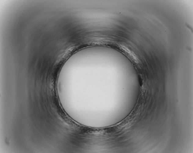 X0000091540306200708171015