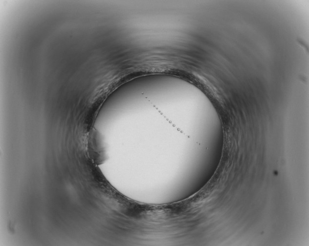 X0000091540307200708171015