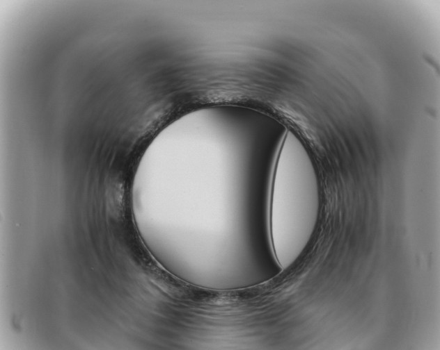 X0000091540308200708171015