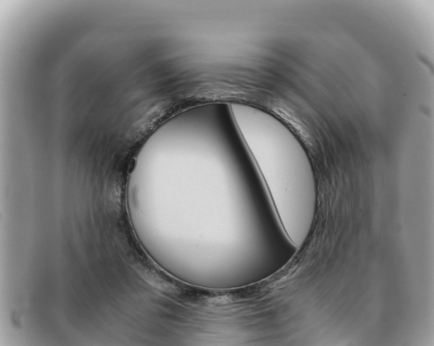 X0000091540309200708171015