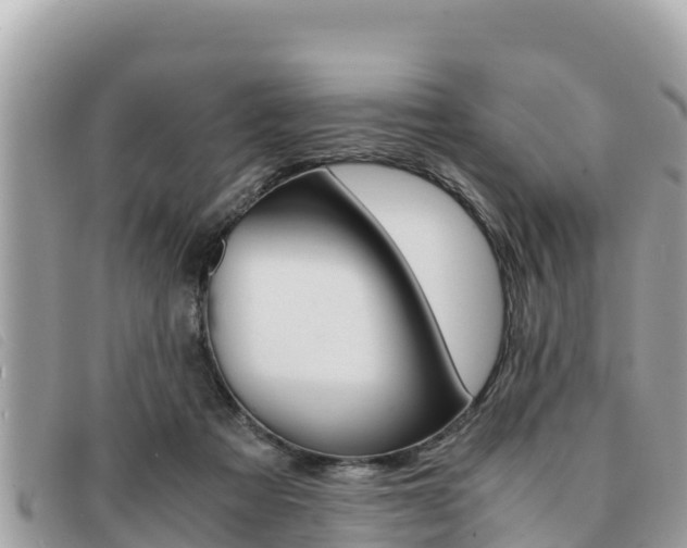 X0000091540313200708171015