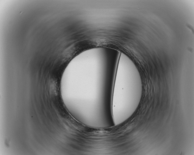 X0000091540316200708171015