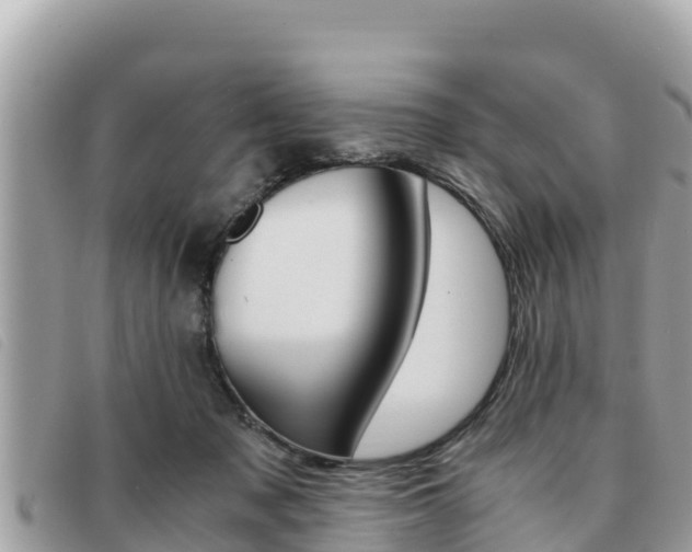 X0000091540317200708171015
