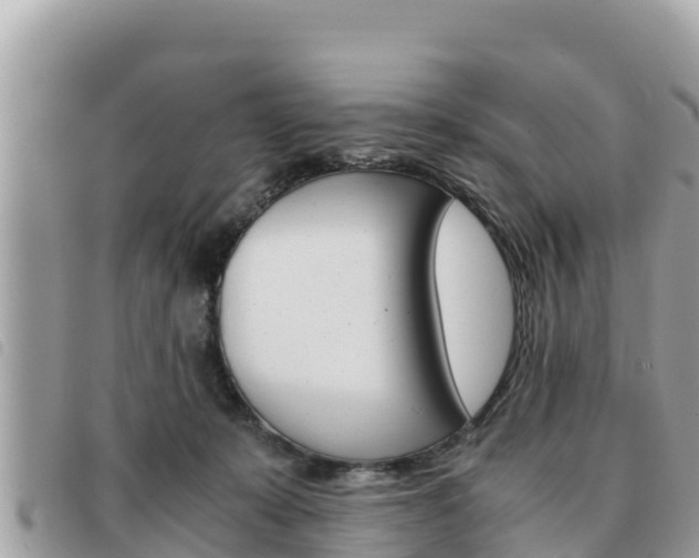 X0000091540319200708171015