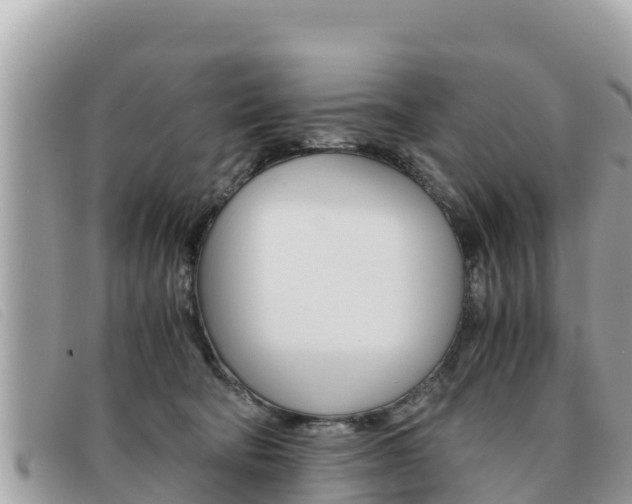 X0000091540322200708171015