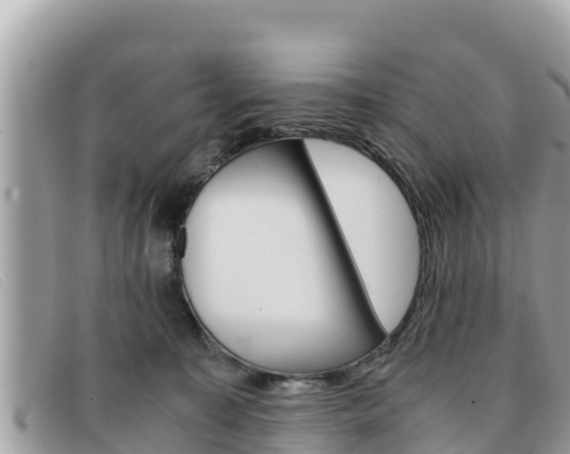 X0000091540323200708171015