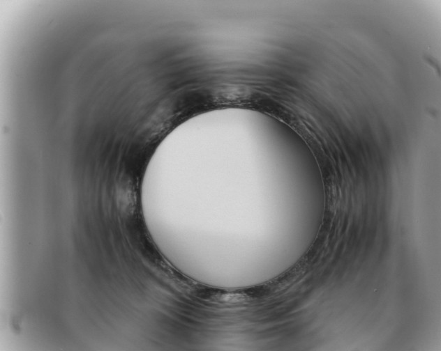 X0000091540324200708171015
