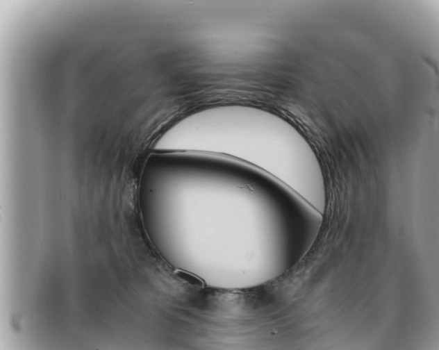 X0000091540325200708171015