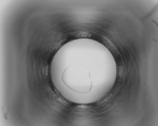 X0000091540326200708171015