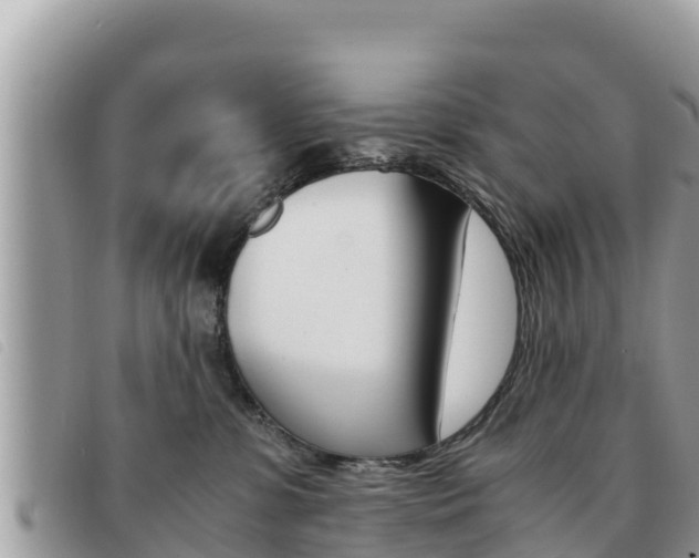 X0000091540331200708171015