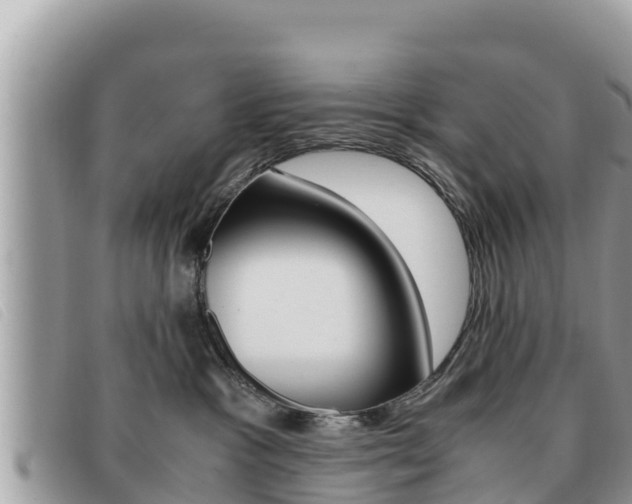 X0000091540333200708171015