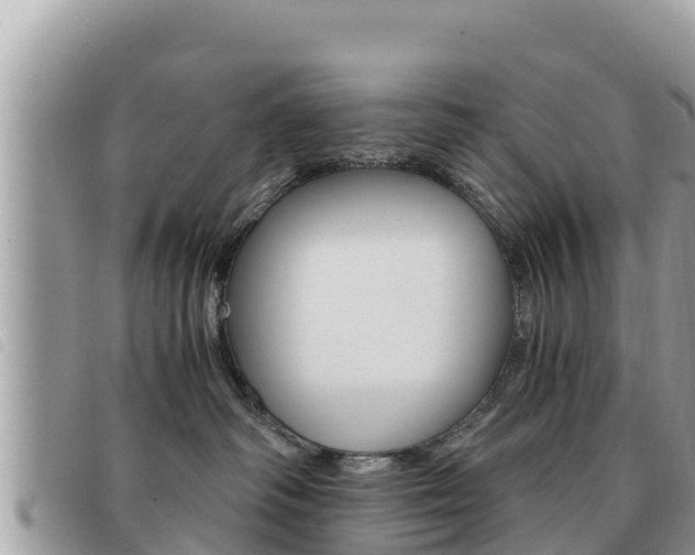 X0000091540334200708171015