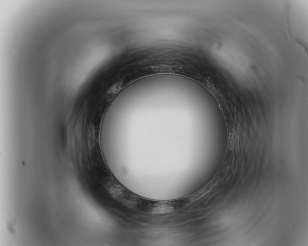 X0000091540335200708171015