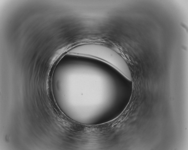 X0000091540340200708171014